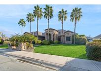 Expansive front yard featuring lush green grass and towering palm trees enhancing curb appeal at 23415 S 202Nd St, Queen Creek, AZ 85142