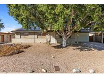 Welcoming single-story brick home featuring a large shade tree, xeriscaping, and a covered entrance at 2136 W Sharon Ave, Phoenix, AZ 85029