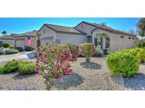 Charming single-story home featuring a desert landscape with flowering shrubs and a beige facade at 15779 W Remington Dr, Surprise, AZ 85374