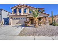 Charming two-story home with a well-manicured lawn and beautiful landscaping, including a palm tree at 1016 E Saddleback Pl, San Tan Valley, AZ 85143