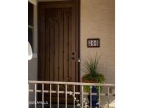 Stylish front door with decorative security screen, tiled house number, and a potted plant, adding curb appeal at 266 S Eliseo Felix Jr Way, Avondale, AZ 85323