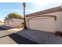 Attached garage with neutral paint and trim complemented by mature desert landscaping under a sunny sky at 1317 E Cobb Dr, Tempe, AZ 85288