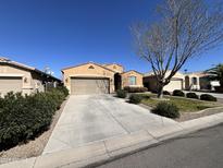 Charming single-Gathering home featuring a well-maintained lawn, mature tree, and a two-car garage at 1658 W Paisley Dr, San Tan Valley, AZ 85144