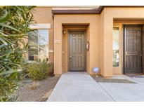 Home's front entrance showcasing a well-lit porch, secure door, and manicured landscaping at 7726 E Baseline Rd # 110, Mesa, AZ 85209