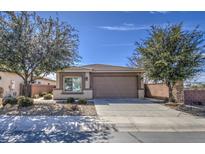 Charming single-story home with a well-maintained front yard and inviting curb appeal at 1541 W Crape Rd, San Tan Valley, AZ 85140