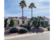 Charming home featuring desert landscaping, mature palm trees and stone accents at 13417 W La Vina Dr, Sun City West, AZ 85375