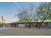 Charming single-story home featuring a carport, brick facade, desert landscaping, and a unique privacy screen at 3531 E Onyx Ave, Phoenix, AZ 85028