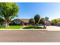 Charming single-story home featuring a well-manicured lawn and unique tree landscaping at 2237 N Kachina --, Mesa, AZ 85203