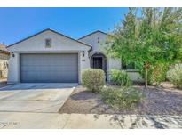 Charming single-story home featuring a gray garage door and a well-maintained front yard at 25651 N 161St Ave, Surprise, AZ 85387