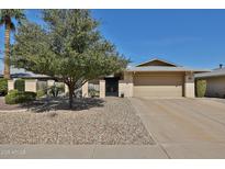 Charming home exterior features a well-maintained yard with a gated front entry and a two-car garage at 12834 W Ashwood Dr, Sun City West, AZ 85375