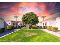 Well-manicured front lawn with mature tree and lush green grass between cream colored homes at 13029 N 111Th Ave, Sun City, AZ 85351