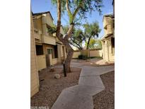 Charming courtyard view with desert landscaping, featuring mature tree and walkways between buildings at 2035 S Elm St # 114, Tempe, AZ 85282