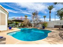 Sparkling backyard pool with lush landscaping and a large patio, perfect for relaxation and entertaining at 2909 N 111Th Dr, Avondale, AZ 85392