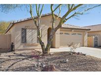 Charming single-story home with desert landscaping, mature tree, and inviting curb appeal at 19595 N 107Th Dr, Sun City, AZ 85373