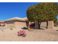 Charming single-story home featuring desert landscaping and a neatly trimmed tree in the front yard at 16016 W Indigo Ln, Surprise, AZ 85374
