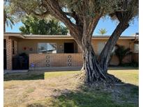 Charming brick home featuring mature landscaping and a welcoming front facade at 10323 W Deanne Dr, Sun City, AZ 85351