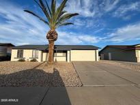 Charming single-story home featuring a desert landscape and mature palm tree at 18221 N 56Th Ln, Glendale, AZ 85308