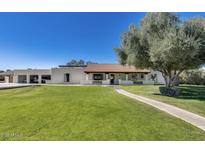 Expansive front yard with a well-maintained lawn and charming single-story home featuring mature landscaping at 6527 W Bloomfield Rd, Glendale, AZ 85304