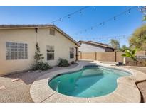 Private backyard featuring a sparkling pool and string lights at 328 W Dragon Tree Ave, San Tan Valley, AZ 85140