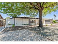 Charming single-story home features a white brick facade, mature tree, and xeriscaped front yard at 8419 N 51St Dr, Glendale, AZ 85302