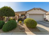Charming single-Gathering home with a well-manicured front yard and a neutral color palette at 30112 N Jillian Dr, San Tan Valley, AZ 85143