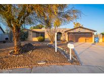 Charming single-story home with a well-maintained yard featuring desert landscaping and mature tree at 3744 E Evans Dr, Phoenix, AZ 85032