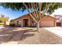 Charming single-story home with a well-maintained yard and mature shade tree enhancing curb appeal at 1077 E Loma Vista St, Gilbert, AZ 85295