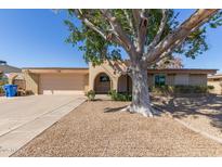 Inviting single story home with desert landscaping and mature tree in the front yard at 9022 N 39Th Ave, Phoenix, AZ 85051