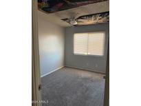 Bright bedroom features neutral walls, ceiling fan, and plush carpet, creating a cozy and inviting atmosphere at 4017 S 45Th St, Phoenix, AZ 85040