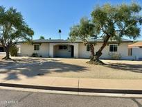 Charming single-story home with desert landscaping and mature shade trees, offering a welcoming curb appeal at 3807 E Altadena Ave, Phoenix, AZ 85028