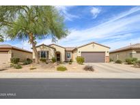 Charming single-story home featuring a low-maintenance yard and a classic desert landscape design at 19140 N Tamarisk Flower Way, Surprise, AZ 85387