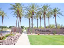 Landscaped community entrance with lush palm trees, desert plants, and attractive signage on a sunny day at 44125 W Cydnee Dr, Maricopa, AZ 85138