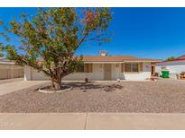 Charming single-story home with a well-maintained front yard and mature shade tree in front at 5732 E Covina Rd, Mesa, AZ 85205