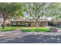 Charming brick home with a well-manicured lawn, mature trees, and a covered carport at 1021 E Myrtle Ave, Phoenix, AZ 85020