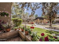 Charming courtyard view with vibrant flowers, a hummingbird feeder, and relaxing pergola space at 5230 E Brown Rd # C117, Mesa, AZ 85205