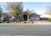 Charming home featuring a well-manicured front yard, lush landscaping, and a welcoming two-car garage at 20138 E Estrella Rd, Queen Creek, AZ 85142