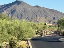 Gated street with lush landscaping and mountain views create an inviting desert community at 37654 N 102Nd Pl, Scottsdale, AZ 85262