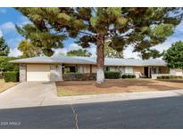 Well-kept single-story home with mature tree and established landscaping at 9614 W Pleasant Valley Rd, Sun City, AZ 85351