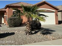 Charming single-story home featuring a well-maintained yard with desert landscaping and a palm tree at 36610 W Picasso St, Maricopa, AZ 85138