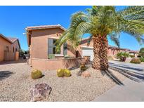 Charming single-story home with desert landscaping and a vibrant palm tree in a sunny neighborhood at 19 N Agua Fria Ln, Casa Grande, AZ 85194