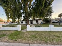 Charming single-story home with a well-kept lawn and mature shade tree at 2301 W Montebello Ave, Phoenix, AZ 85015