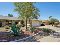 Charming single-story home with well-manicured landscaping and desert-friendly plants in the front yard at 14111 W Cavalcade Dr, Sun City West, AZ 85375