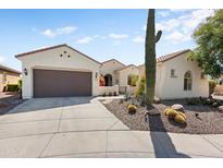 Attractive exterior view of a well-maintained single-story house with desert landscaping at 20453 N 264Th Ave, Buckeye, AZ 85396