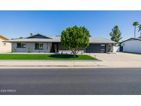 Charming single-story home with a well-manicured lawn, mature tree, and modern dark garage door at 3137 N Granite Reef Rd, Scottsdale, AZ 85251