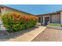 Charming home features a blooming red bush and an inviting walkway to the front door at 1311 W Palo Verde Dr, Chandler, AZ 85224