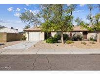 Charming single-story home featuring a well-maintained front yard with desert landscaping and mature trees at 20602 N 31St Dr, Phoenix, AZ 85027