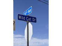 Street sign shows '211th Ave' above 'Wild Cat Dr' under a blue sky at 31114 W 213Th Ln, Wittmann, AZ 85361