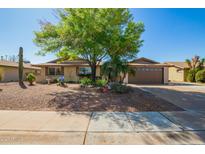 Charming single-story home with a well-maintained yard, mature tree, and a two-car garage at 4111 W Hayward Ave, Phoenix, AZ 85051