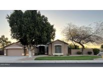 Charming single-story home showcasing a lush green lawn, mature trees, and a well-maintained landscape at 6904 W Josac St, Glendale, AZ 85308