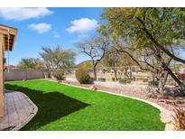 Expansive backyard features lush green grass, mature trees, and a view of the surrounding desert landscape at 3212 W Lucia Dr, Phoenix, AZ 85083
